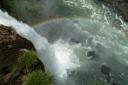 Regenboog