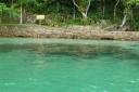 Snorkelen in super helder water