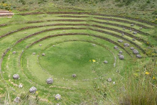 Moray