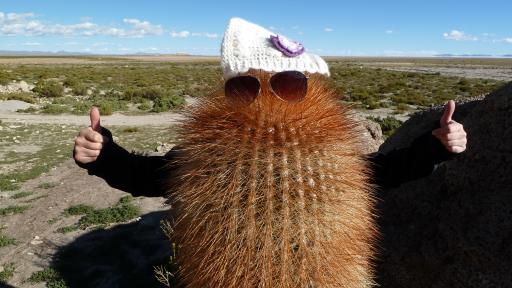 Cactusvrouw