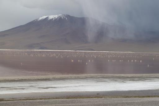 Laguna Colorada