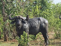 20201127_162736