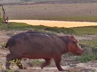 20201128_060636
