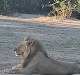 20201128_151651