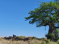 20201128_090755