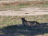 20201128_085611