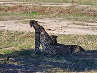20201128_085546