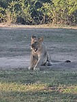 20201128_070501