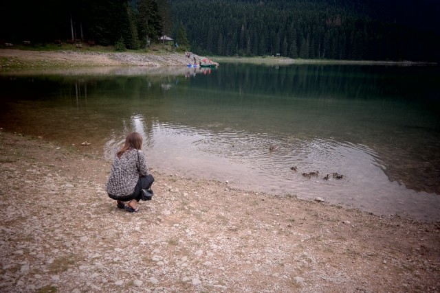 durmitor eendjes