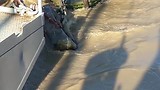 Stroming