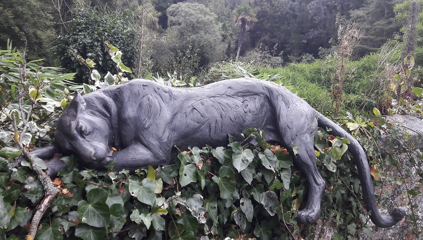 Lazy leopard