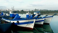 Tonijnvissers