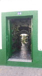 Groen in de stad