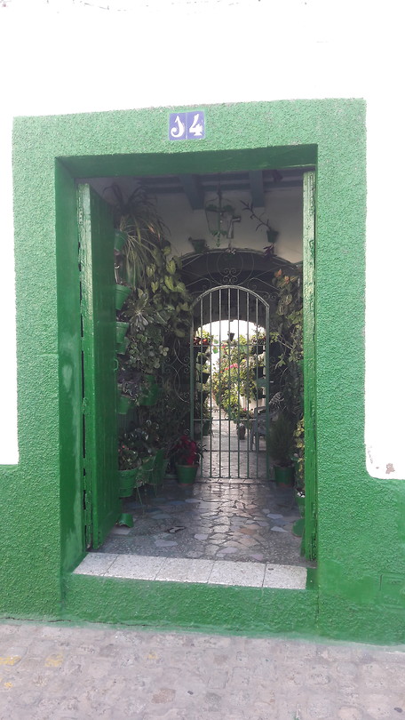 Groen in de stad