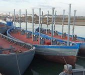 Almadraba netten