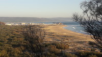 Barbate