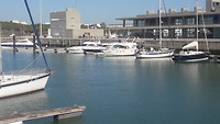 Barbate marina