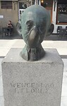De evolutie vooruit
