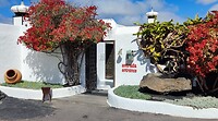 Casa Cesar Manrique
