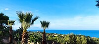 IMG_20231216_150911