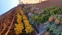 Overvloed aan fruit