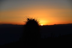 Zonsopkomst sakas de Uyuni