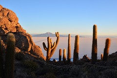 Isla IncaHyashi