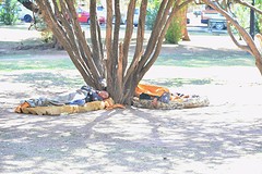 Zwervers in het park