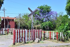 Andreaskruis
