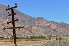 Langs rio grande