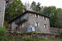 DORNAS Gitte
