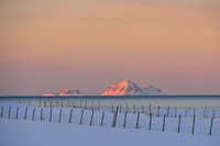 De bergen van de Lofoten