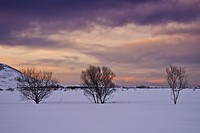 Landschap Gimsøy