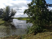 het mooie Hollandse polder landschap