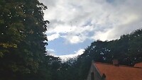 Roeken in Aalestrup