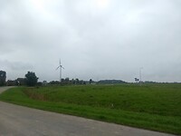 Het Friese land
