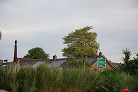Franeker aukje