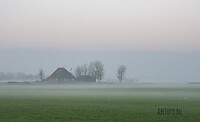 Ochtend nevel