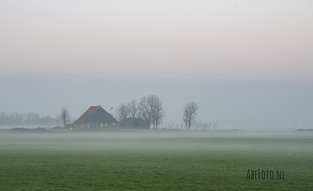 Ochtend nevel