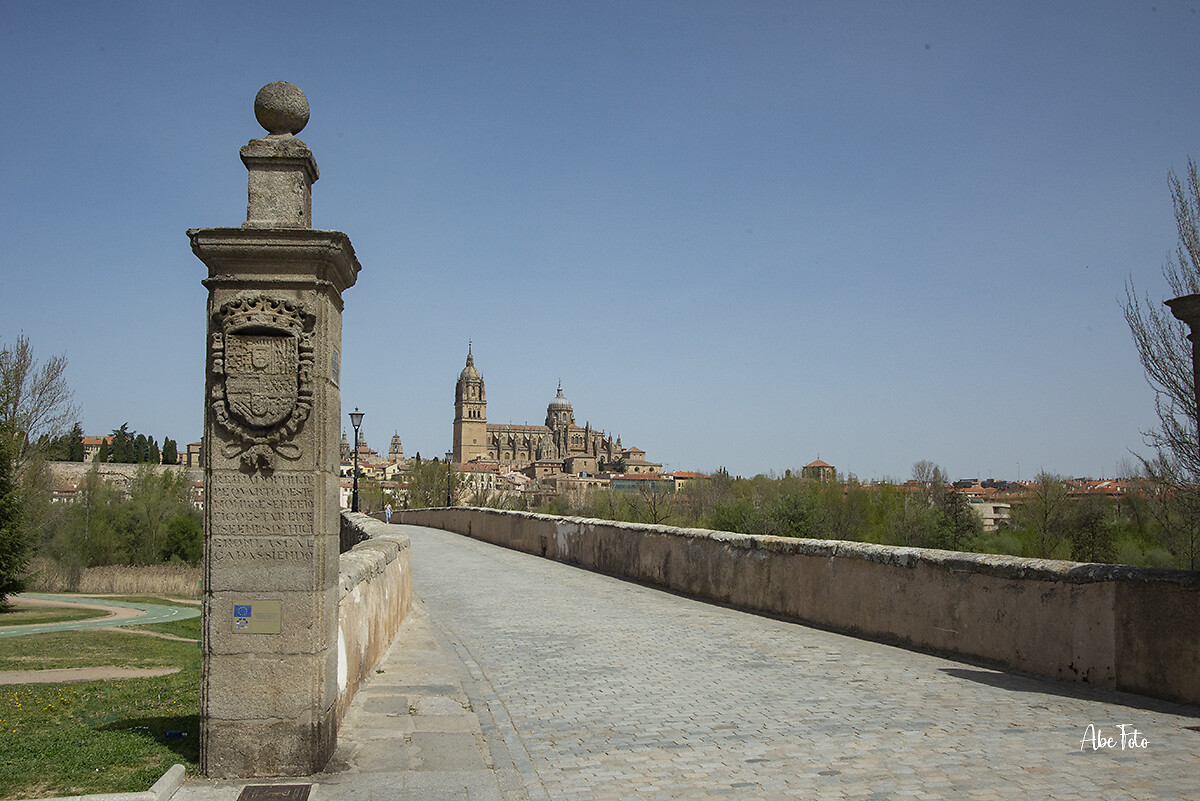 DSC_8399 brug Salamanca kl wm