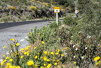 DSC_8961 wegbermen spanje kl wm
