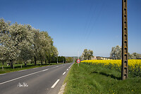 DSC_9407 Normandie kl wm