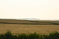 Holy islandin de verte