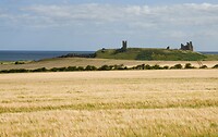Dungannon castle