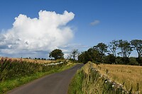 De route 5 km noord van Berwick