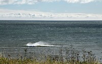 Storm golven