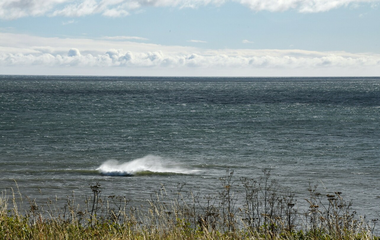 Storm golven