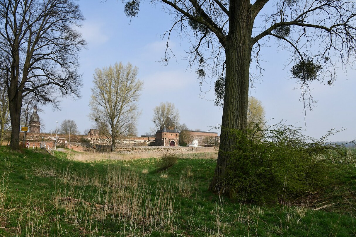 Zons 2