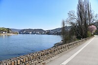 Boppard