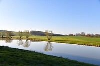 Meertjes nabij Gunzenhausen